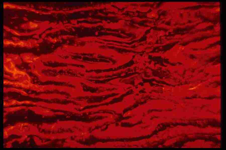 Light Textures - Corel Professional Photos ></a>
<script language=JavaScript> 
  var txt = 