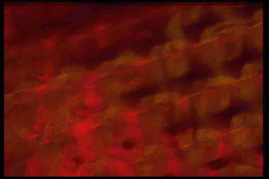 Light Textures - Corel Professional Photos ></a>
<script language=JavaScript> 
  var txt = 