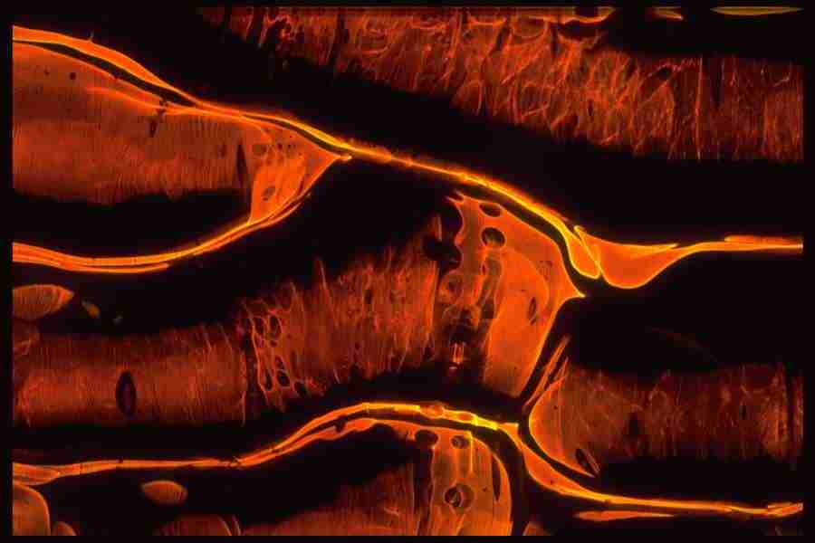 Light Textures - Corel Professional Photos ></a>
<script language=JavaScript> 
  var txt = 