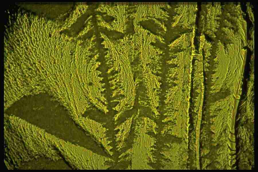 Light Textures - Corel Professional Photos ></a>
<script language=JavaScript> 
  var txt = 