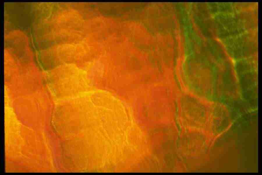 Light Textures - Corel Professional Photos ></a>
<script language=JavaScript> 
  var txt = 