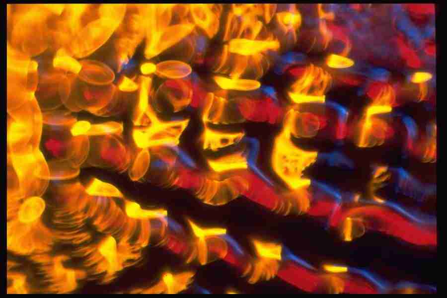 Light Textures - Corel Professional Photos ></a>
<script language=JavaScript> 
  var txt = 