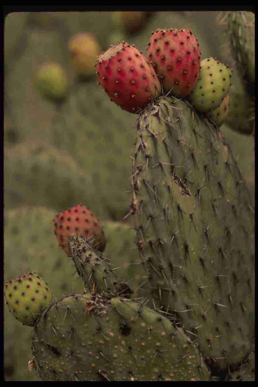 Mexico City - Corel Professional Photos ></a>
<script language=JavaScript> 
  var txt = 