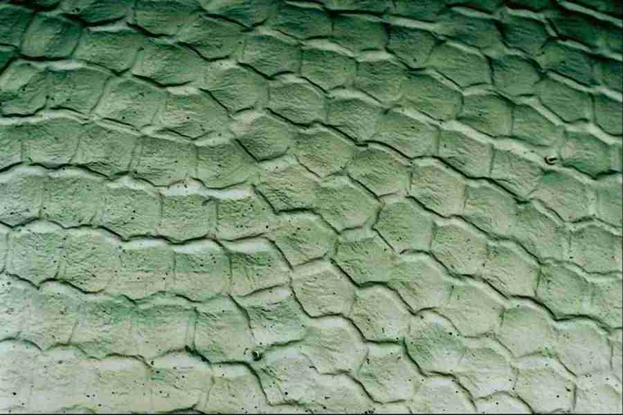 Microscopic Images - Corel Professional Photos ></a>
<script language=JavaScript> 
  var txt = 