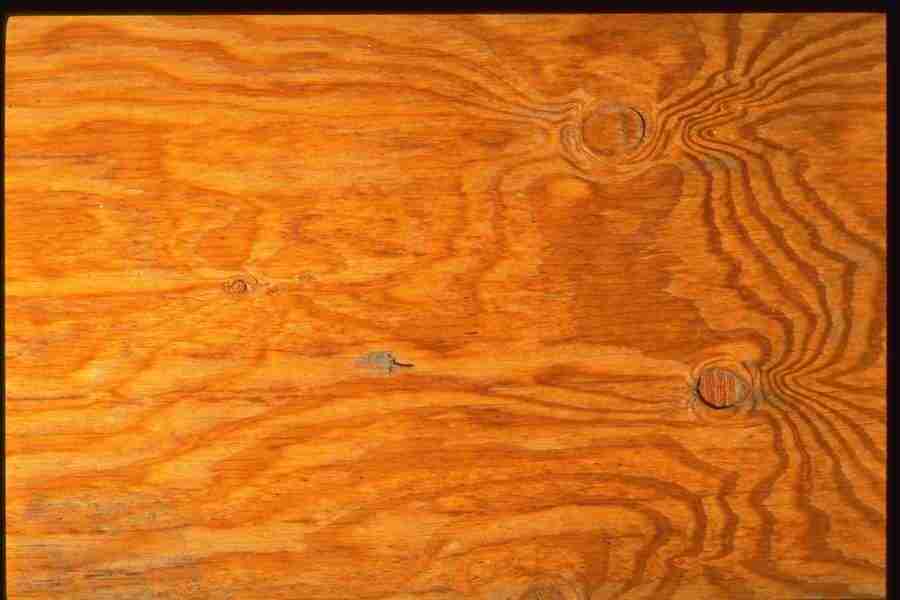 Natures Textures - Corel Professional Photos ></a>
<script language=JavaScript> 
  var txt = 