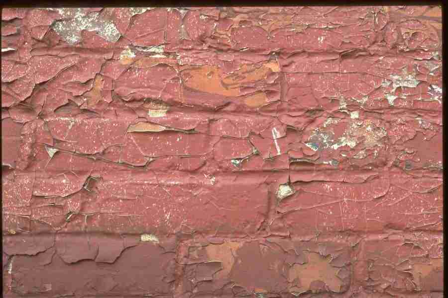 Natures Textures - Corel Professional Photos ></a>
<script language=JavaScript> 
  var txt = 