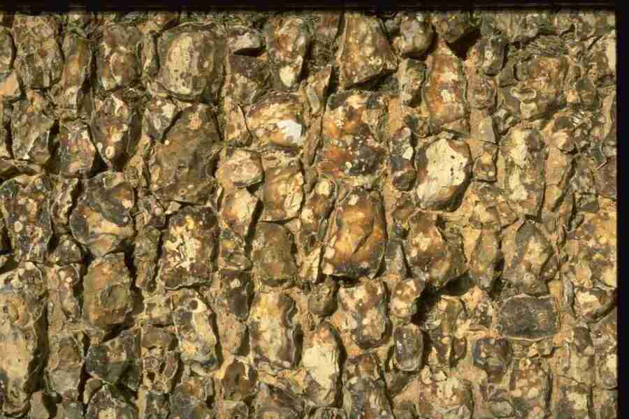 Natures Textures - Corel Professional Photos ></a>
<script language=JavaScript> 
  var txt = 