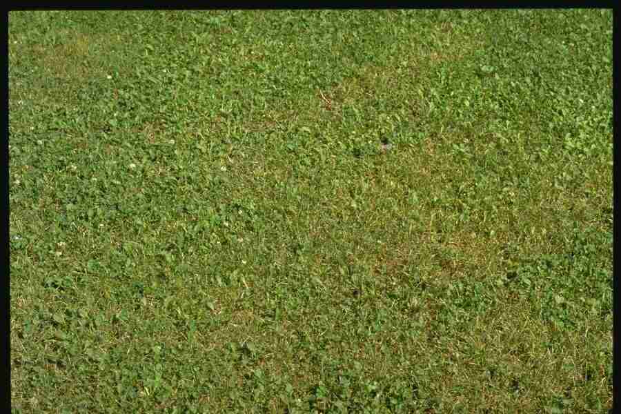 Natures Textures - Corel Professional Photos ></a>
<script language=JavaScript> 
  var txt = 