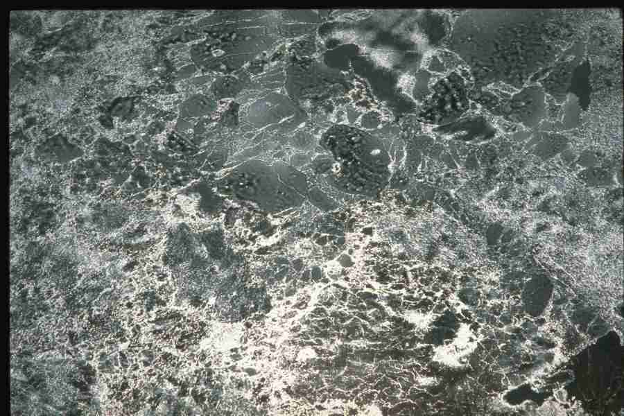 Natures Textures - Corel Professional Photos ></a>
<script language=JavaScript> 
  var txt = 