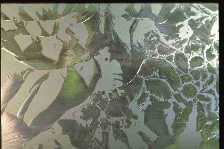 Natures Textures - Corel Professional Photos ></a>
<script language=JavaScript> 
  var txt = 