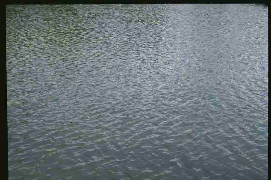 Natures Textures - Corel Professional Photos ></a>
<script language=JavaScript> 
  var txt = 