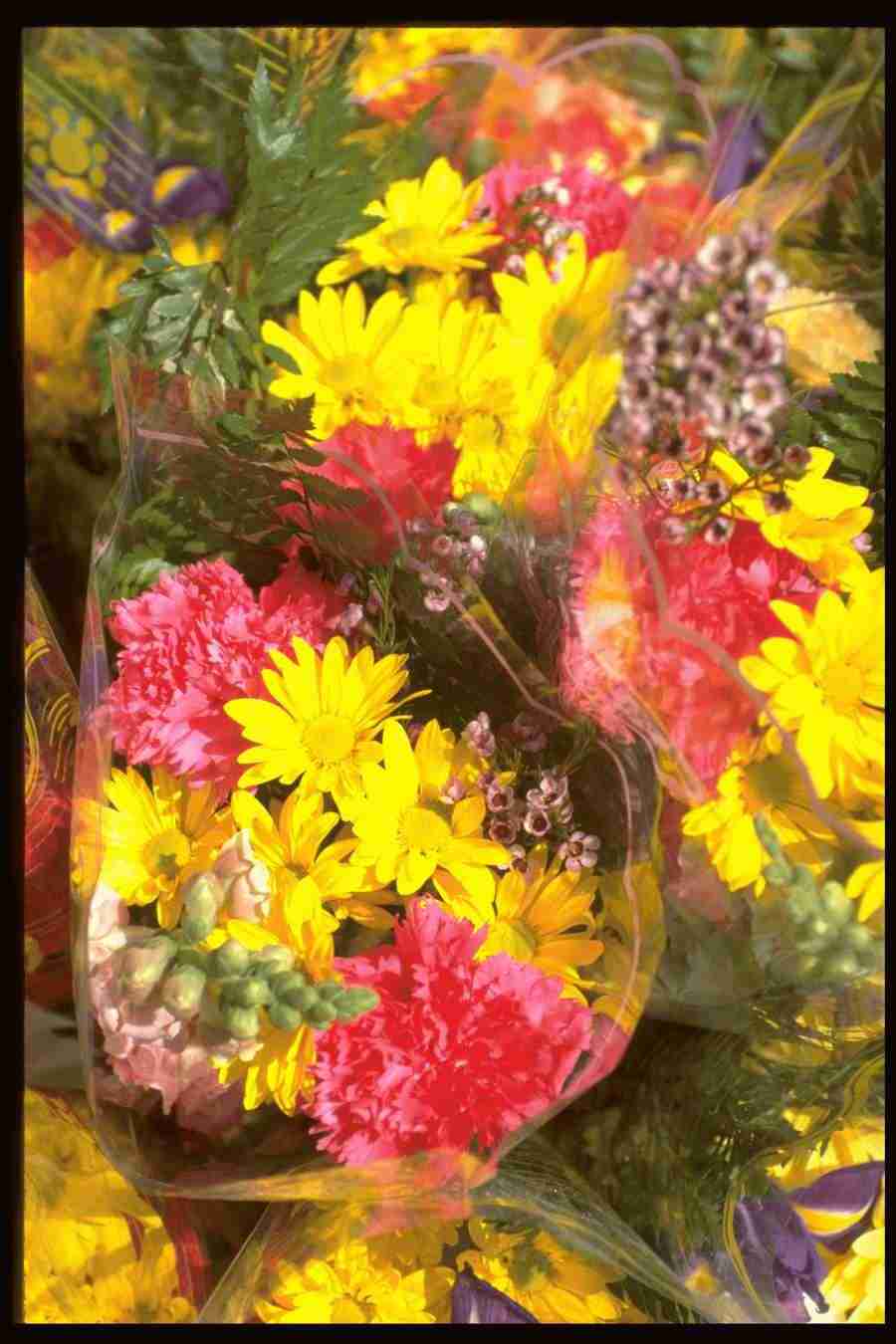 Natures Textures - Corel Professional Photos ></a>
<script language=JavaScript> 
  var txt = 