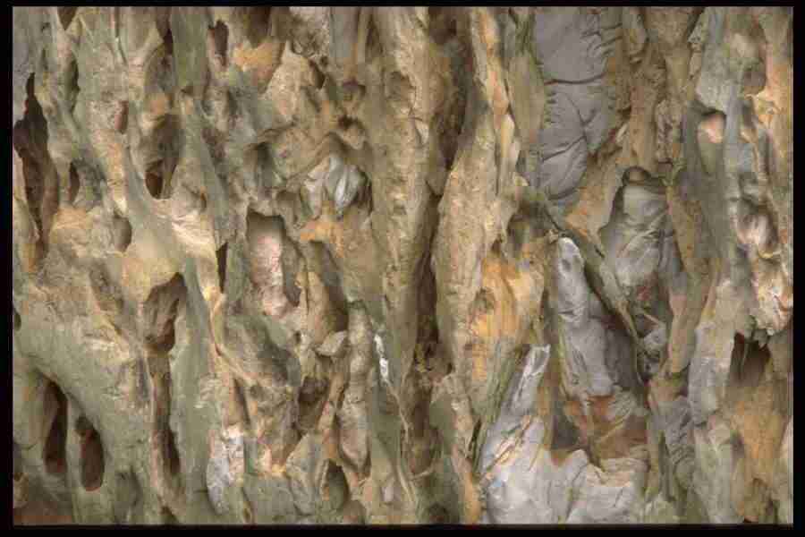 Natures Textures - Corel Professional Photos ></a>
<script language=JavaScript> 
  var txt = 