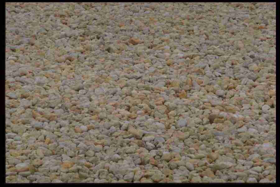 Natures Textures - Corel Professional Photos ></a>
<script language=JavaScript> 
  var txt = 