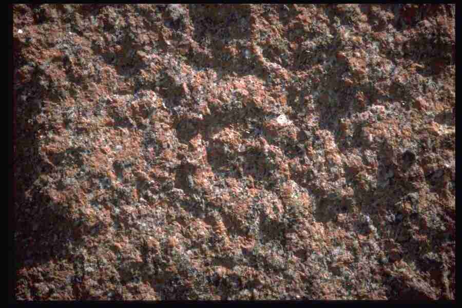 Natures Textures - Corel Professional Photos ></a>
<script language=JavaScript> 
  var txt = 