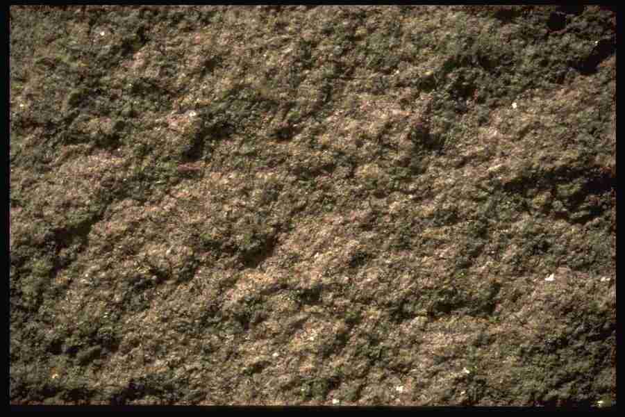 Natures Textures - Corel Professional Photos ></a>
<script language=JavaScript> 
  var txt = 