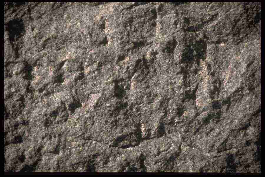 Natures Textures - Corel Professional Photos ></a>
<script language=JavaScript> 
  var txt = 