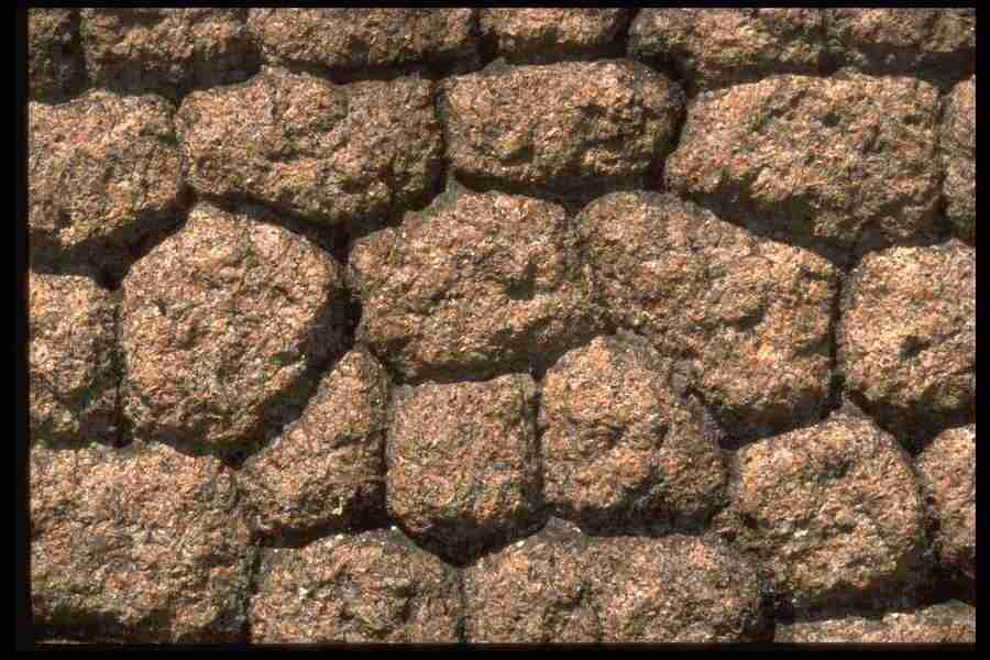 Natures Textures - Corel Professional Photos ></a>
<script language=JavaScript> 
  var txt = 