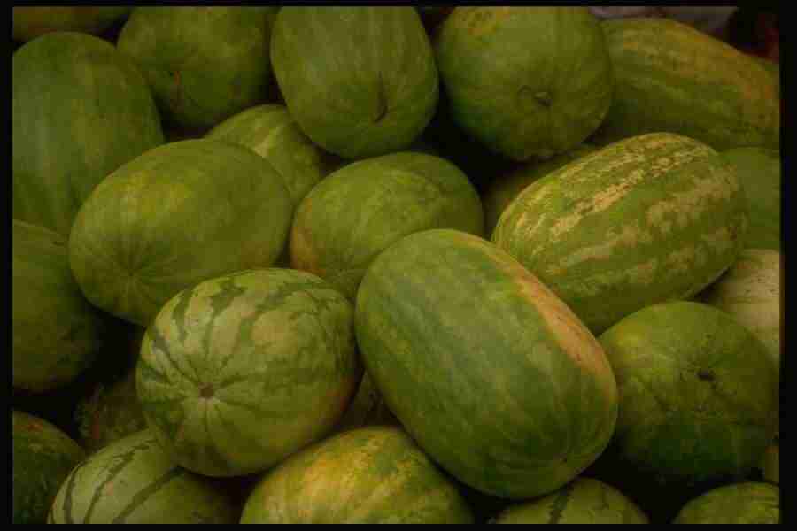 Natures Textures - Corel Professional Photos ></a>
<script language=JavaScript> 
  var txt = 