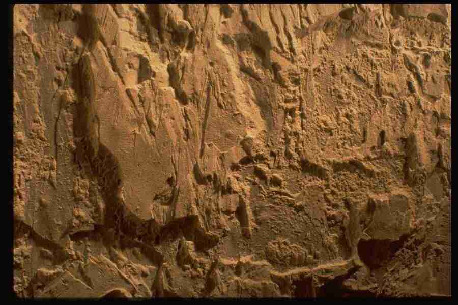 Natures Textures - Corel Professional Photos ></a>
<script language=JavaScript> 
  var txt = 