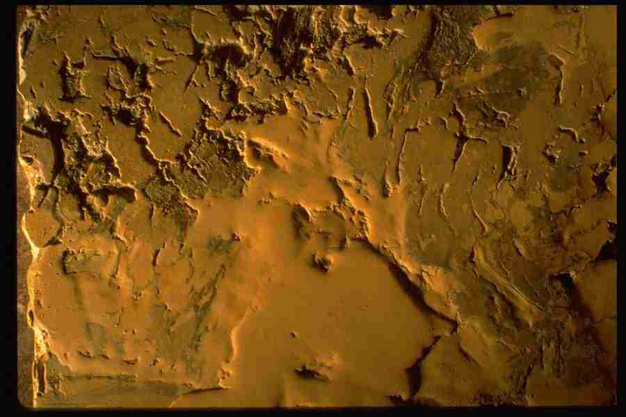 Natures Textures - Corel Professional Photos ></a>
<script language=JavaScript> 
  var txt = 