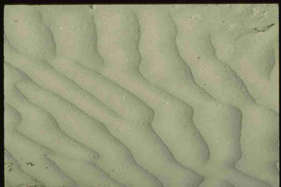 Natures Textures - Corel Professional Photos ></a>
<script language=JavaScript> 
  var txt = 