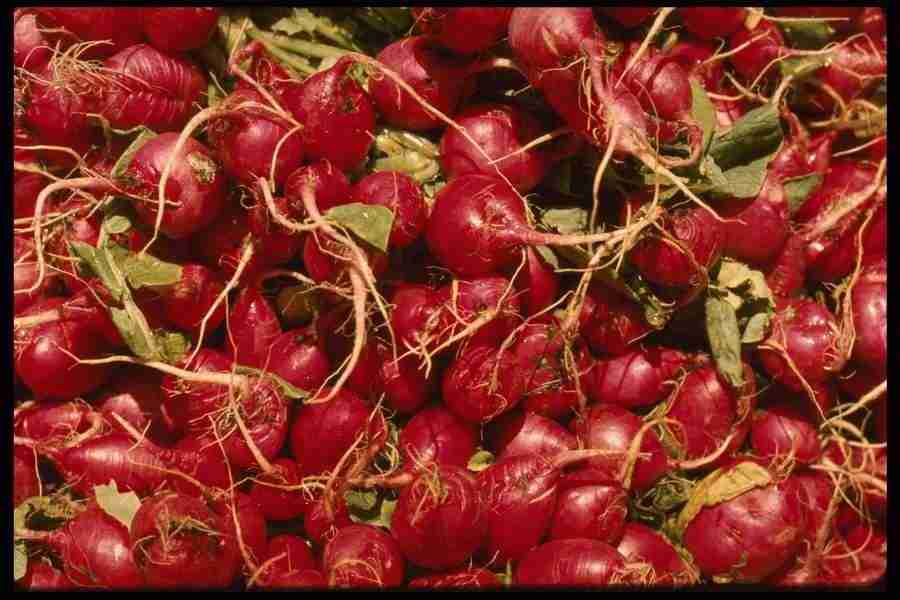 Natures Textures - Corel Professional Photos ></a>
<script language=JavaScript> 
  var txt = 