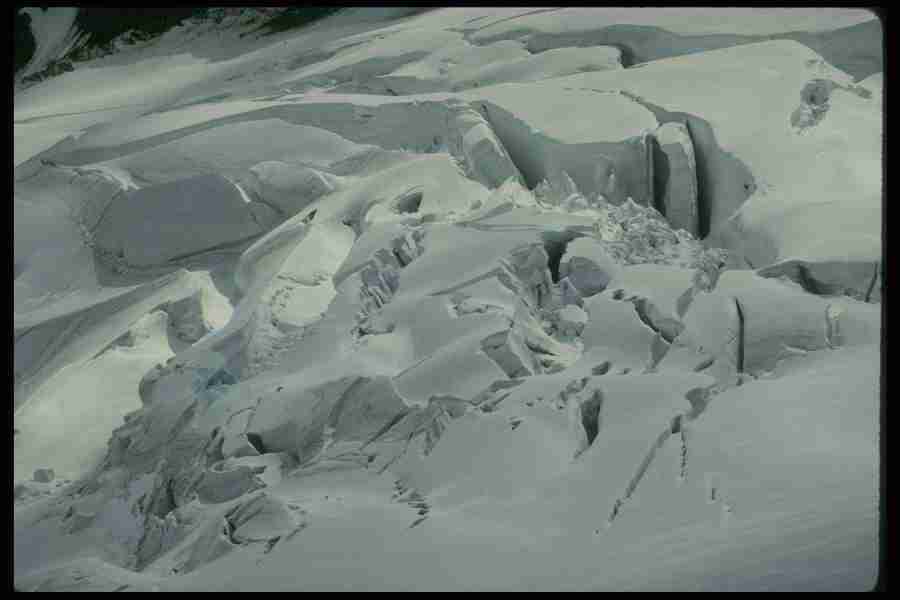 Natures Textures - Corel Professional Photos ></a>
<script language=JavaScript> 
  var txt = 