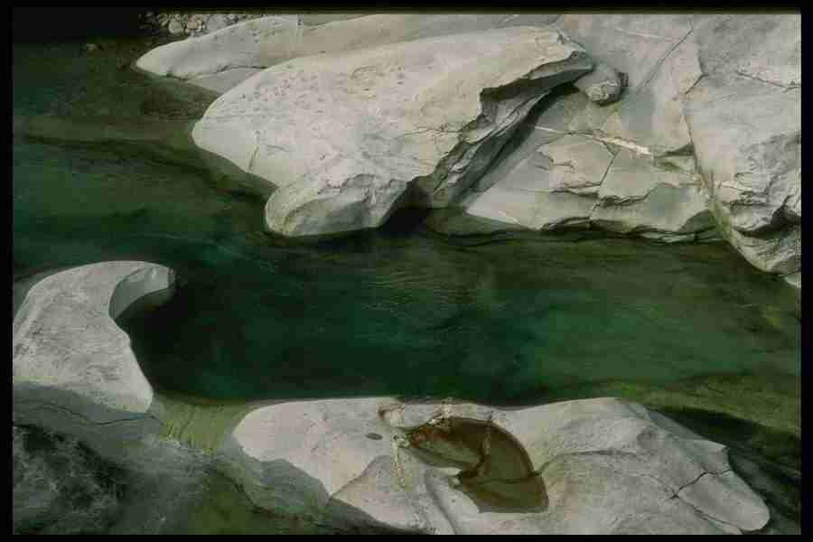 Natures Textures - Corel Professional Photos ></a>
<script language=JavaScript> 
  var txt = 