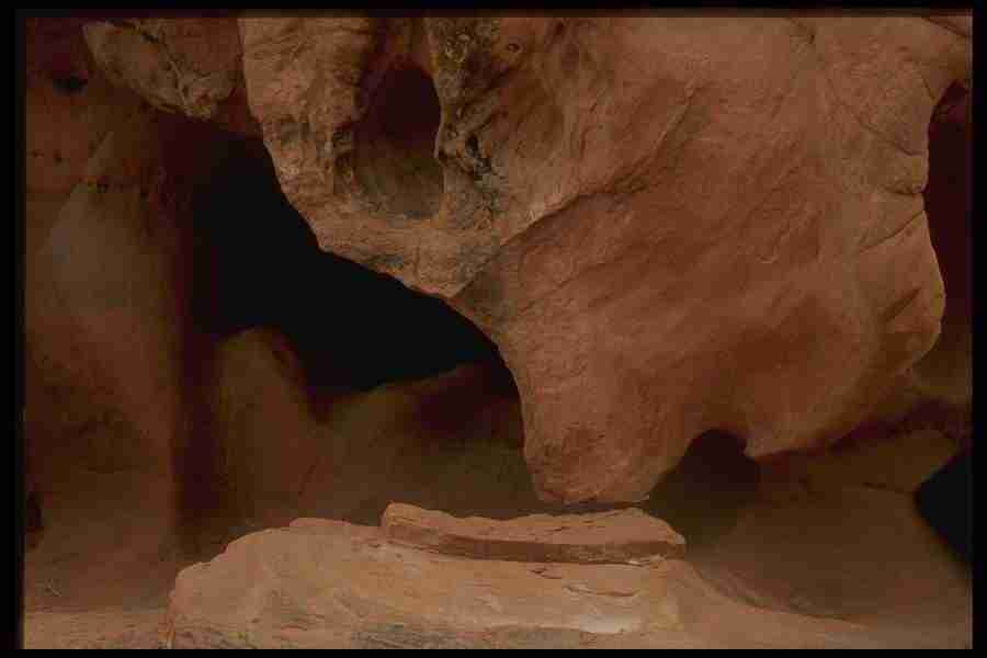 Natures Textures - Corel Professional Photos ></a>
<script language=JavaScript> 
  var txt = 