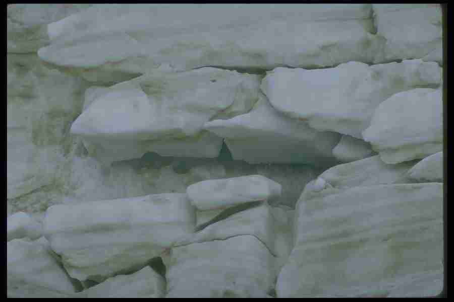 Natures Textures - Corel Professional Photos ></a>
<script language=JavaScript> 
  var txt = 