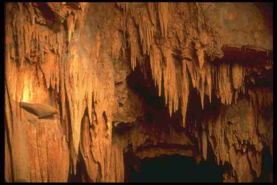 Natures Textures - Corel Professional Photos ></a>
<script language=JavaScript> 
  var txt = 