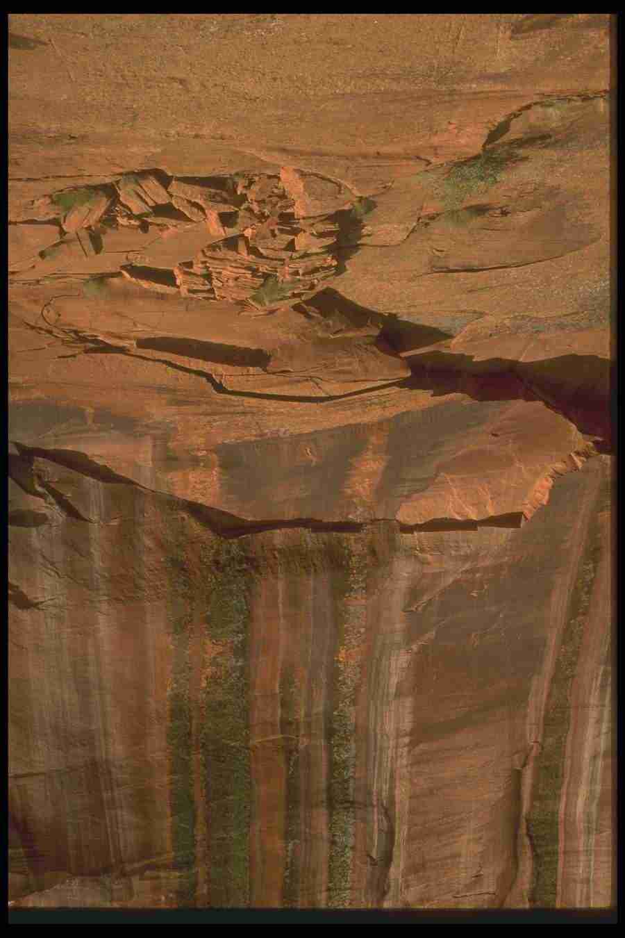 Natures Textures - Corel Professional Photos ></a>
<script language=JavaScript> 
  var txt = 