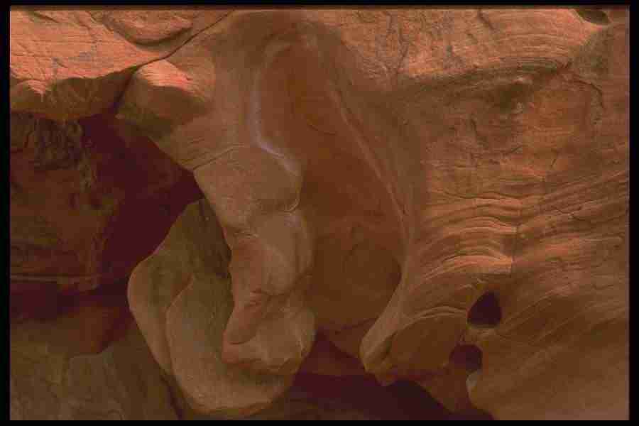 Natures Textures - Corel Professional Photos ></a>
<script language=JavaScript> 
  var txt = 