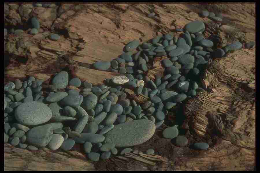 Natures Textures - Corel Professional Photos ></a>
<script language=JavaScript> 
  var txt = 