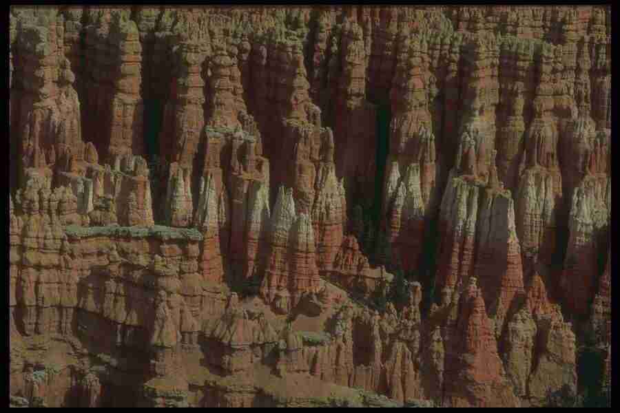 Natures Textures - Corel Professional Photos ></a>
<script language=JavaScript> 
  var txt = 