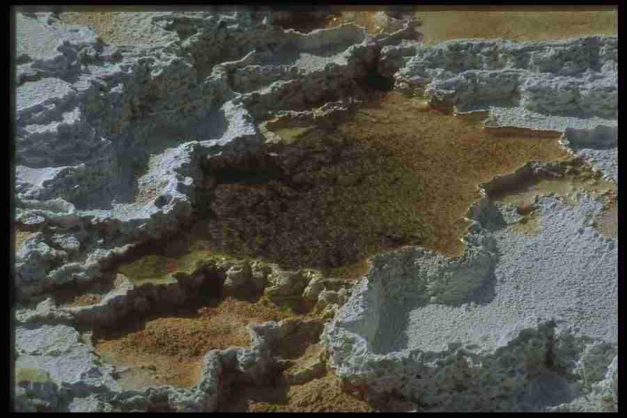 Natures Textures - Corel Professional Photos ></a>
<script language=JavaScript> 
  var txt = 