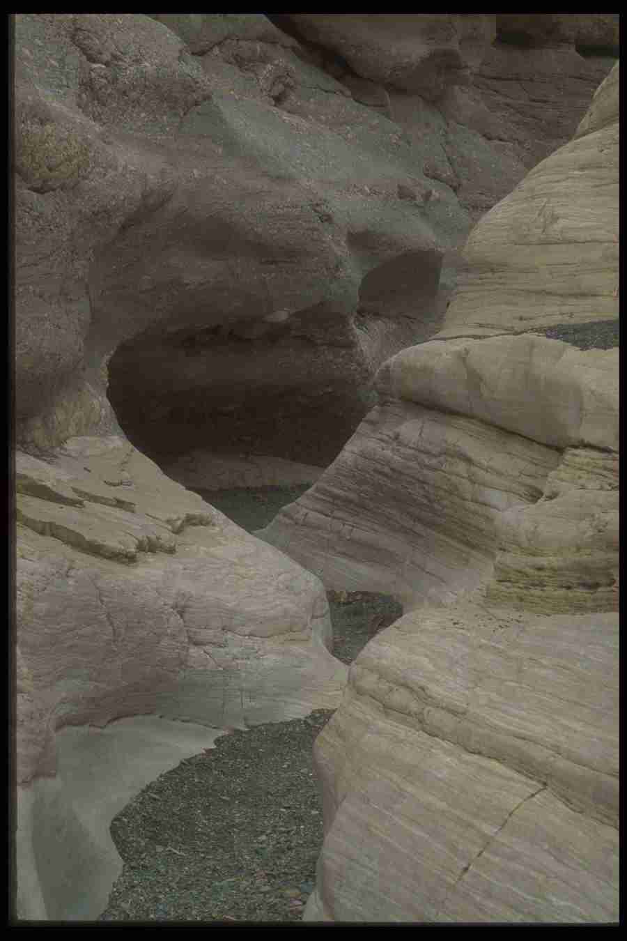 Natures Textures - Corel Professional Photos ></a>
<script language=JavaScript> 
  var txt = 