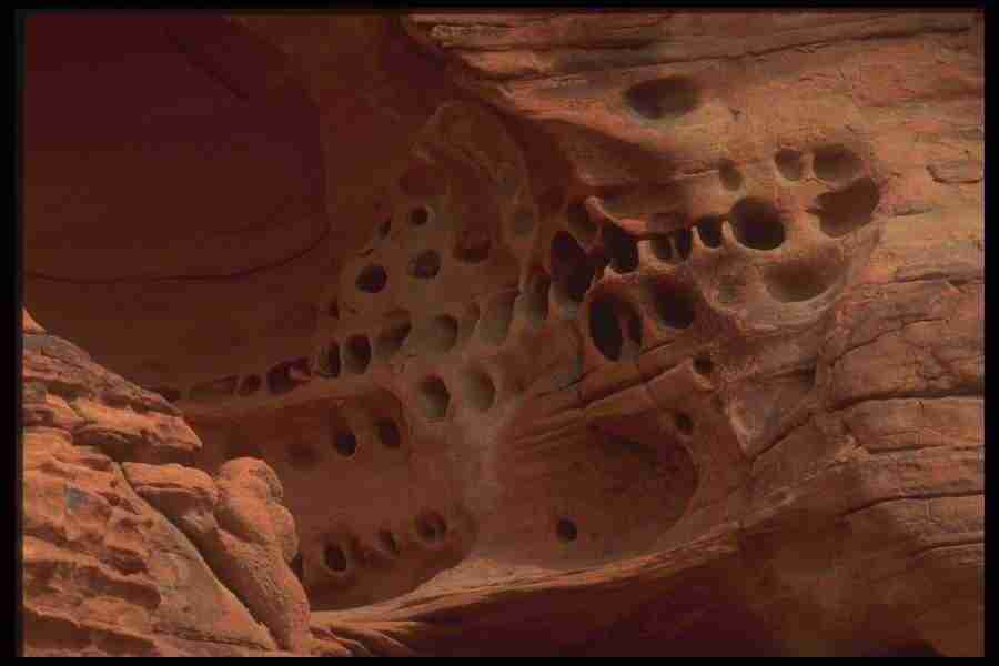 Natures Textures - Corel Professional Photos ></a>
<script language=JavaScript> 
  var txt = 