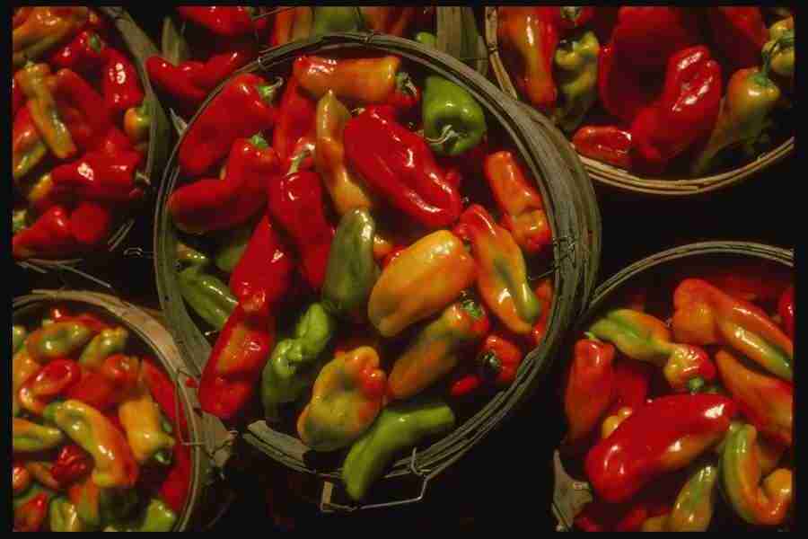 Natures Textures - Corel Professional Photos ></a>
<script language=JavaScript> 
  var txt = 