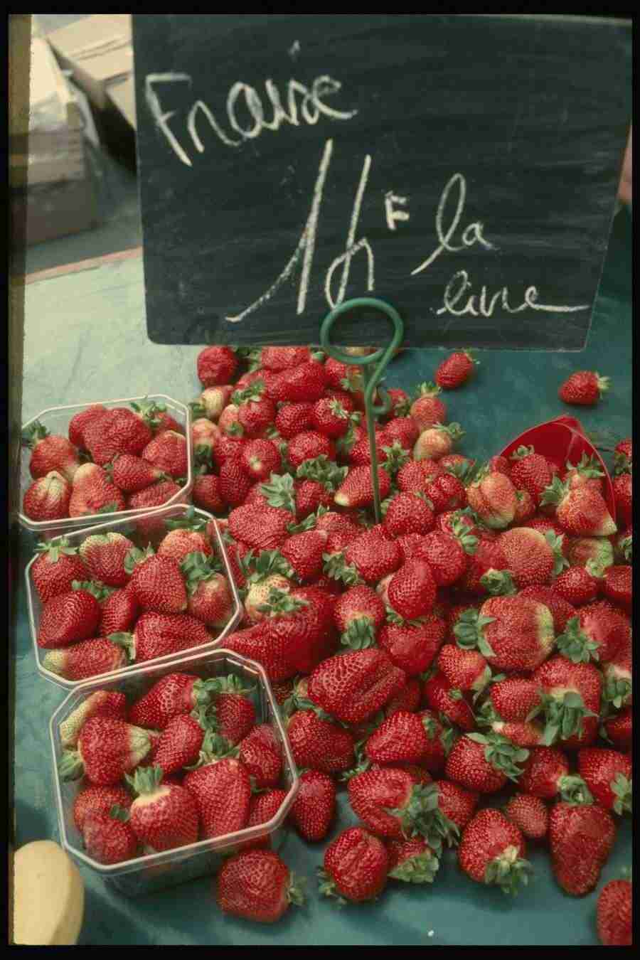 Paris - Corel Professional Photos ></a>
<script language=JavaScript> 
  var txt = 