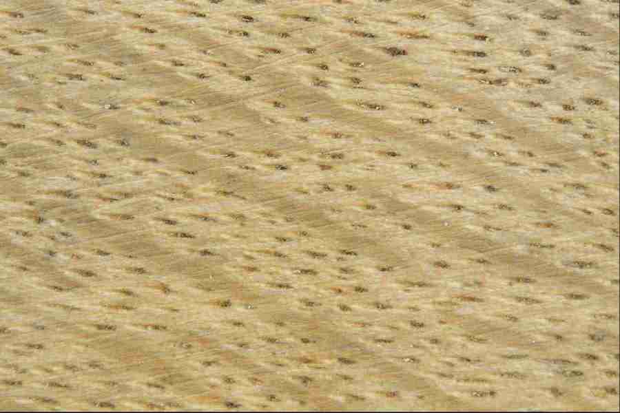 Patterns & Designs - Corel Professional Photos ></a>
<script language=JavaScript> 
  var txt = 