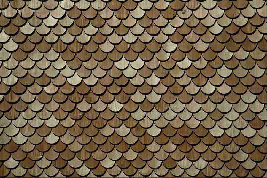 Patterns & Designs - Corel Professional Photos ></a>
<script language=JavaScript> 
  var txt = 