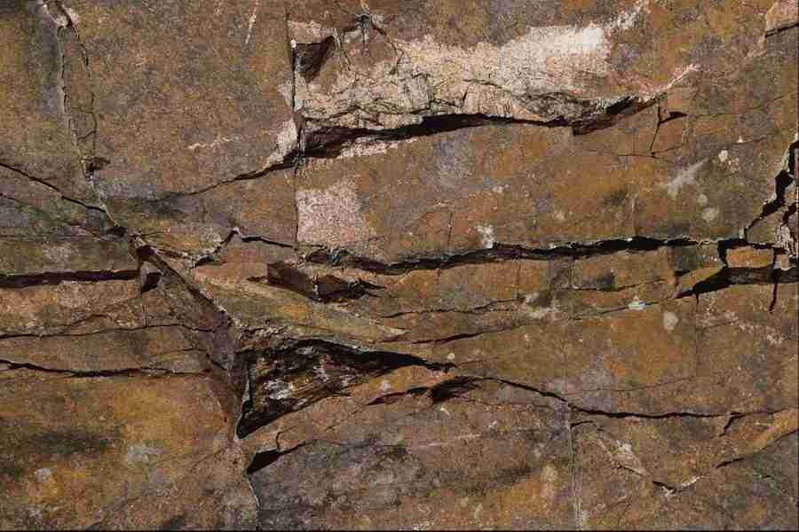 Patterns & Designs - Corel Professional Photos ></a>
<script language=JavaScript> 
  var txt = 