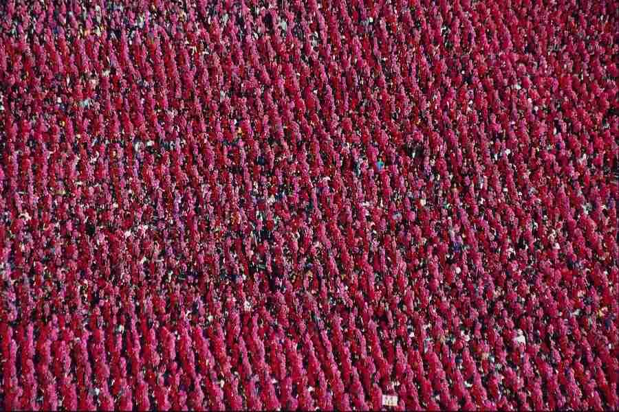 Patterns & Designs - Corel Professional Photos ></a>
<script language=JavaScript> 
  var txt = 