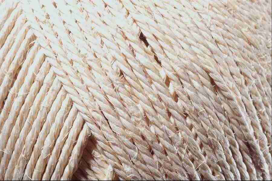 Patterns & Designs - Corel Professional Photos ></a>
<script language=JavaScript> 
  var txt = 