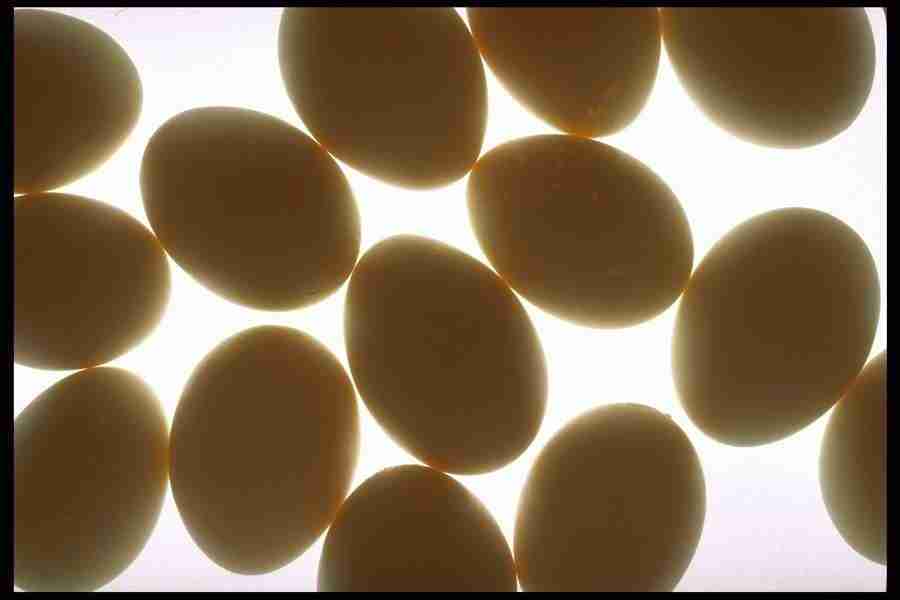 Patterns & Designs - Corel Professional Photos ></a>
<script language=JavaScript> 
  var txt = 