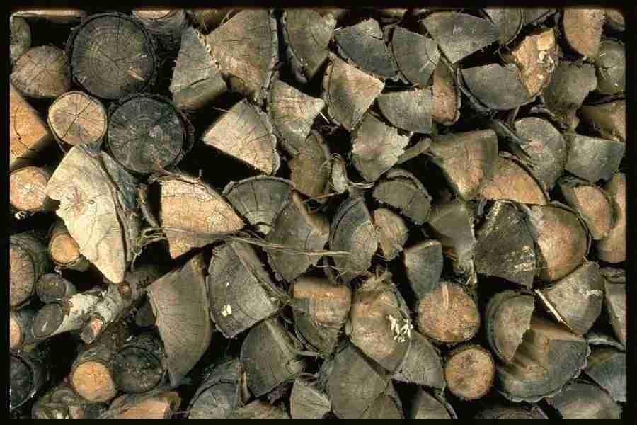 Patterns & Designs - Corel Professional Photos ></a>
<script language=JavaScript> 
  var txt = 