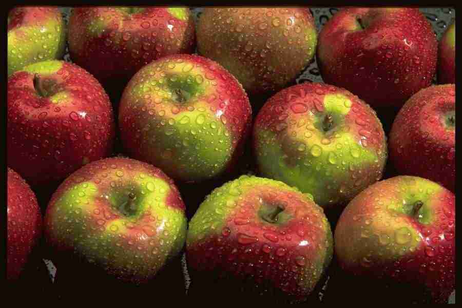 Patterns & Designs - Corel Professional Photos ></a>
<script language=JavaScript> 
  var txt = 