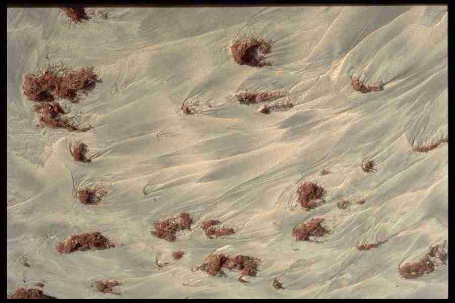 Patterns & Designs - Corel Professional Photos ></a>
<script language=JavaScript> 
  var txt = 